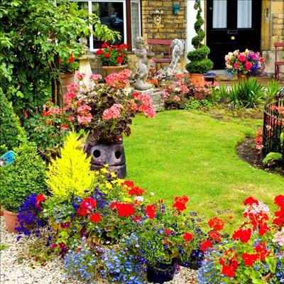 Practical gardening tips