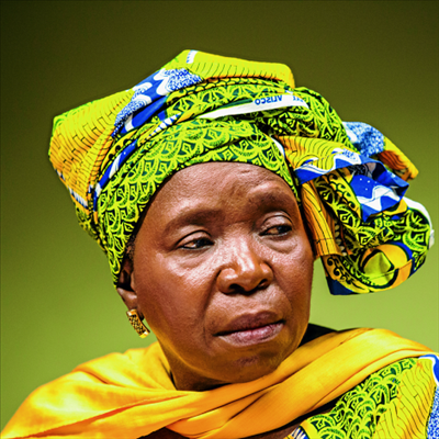 Dlamini Zuma to transfer wealth if elected