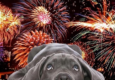 Fireworks on Guy Fawkes strictly forbidden