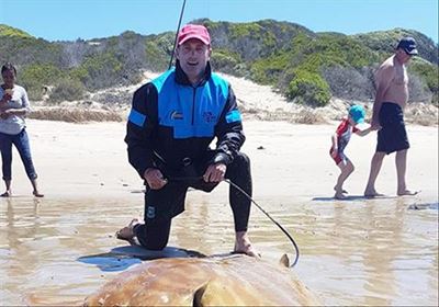 Stilbaai sak effens terug