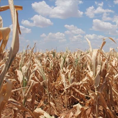 Drought is far from over