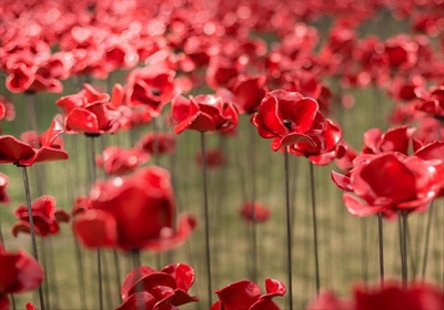 Remembrance service next Sunday