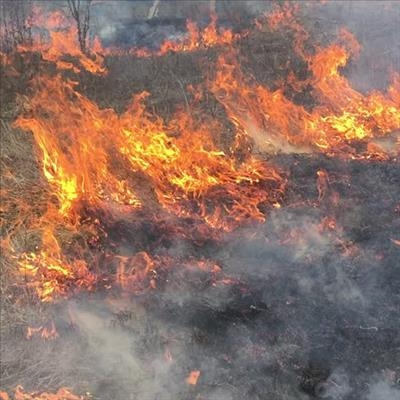 Eden fires update 