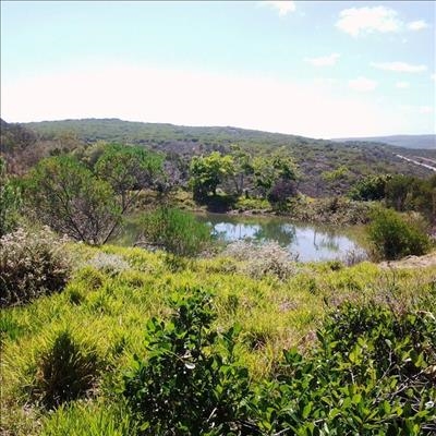 'n Veilige plek vir inheemse wild