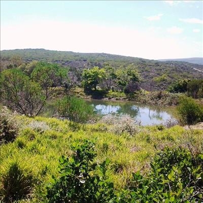 'n Veilige plek vir inheemse wild