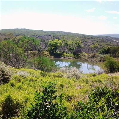 'n Veilige plek vir inheemse wild