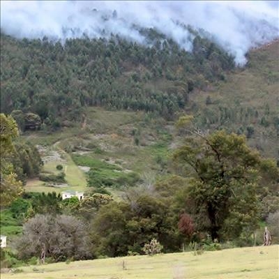 Firefighters battle vegetation fire