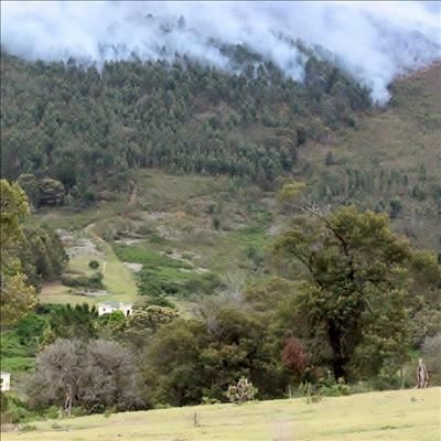 Firefighters battle vegetation fire