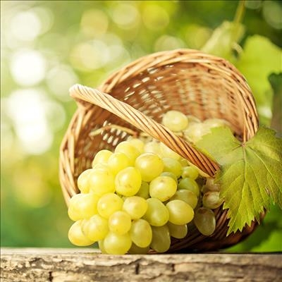 Table grape forecast: lower harvest due to drought