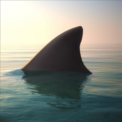 UK doctor 'punches shark' in surfing scare