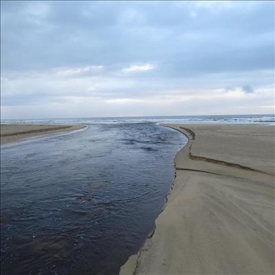 Heavy rains: River mouths to be opened