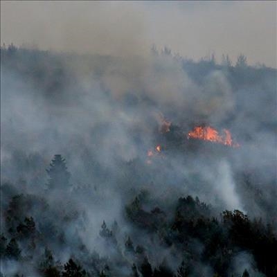 Fire update: Wildevarkberg fire