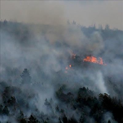Fire update: Wildevarkberg fire
