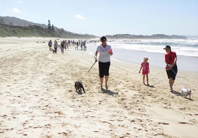 Come set a new record at WOOF-athon