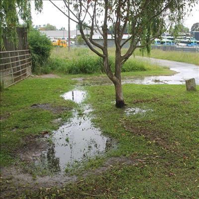 Another burst water pipe