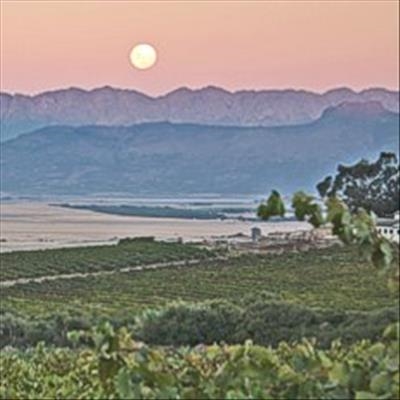 Premium upgrade for wine in Swartland