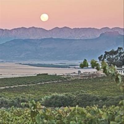 Premium upgrade for wine in Swartland