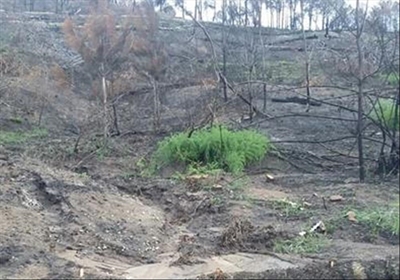 Lack of disaster funding a disaster