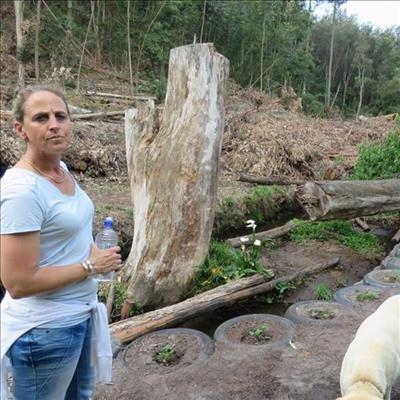 Is sewage leaking into rivers?