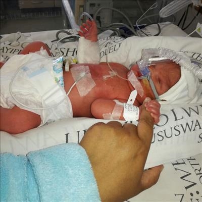 Knysna's tiny miracle