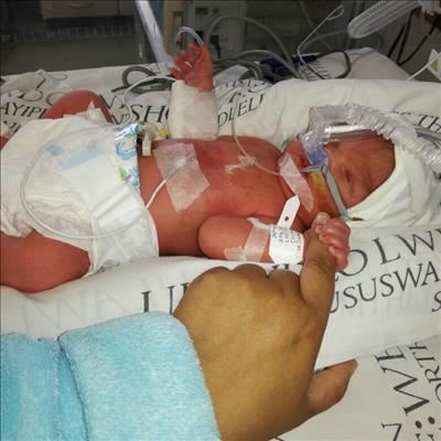 Knysna's tiny miracle