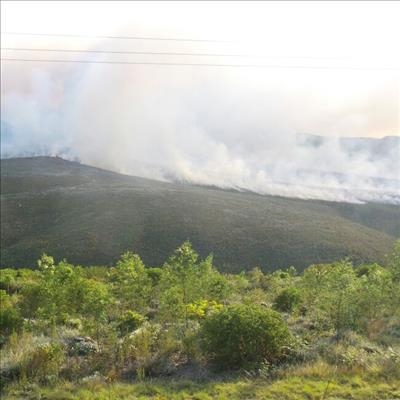 Weerlig rede vir brand