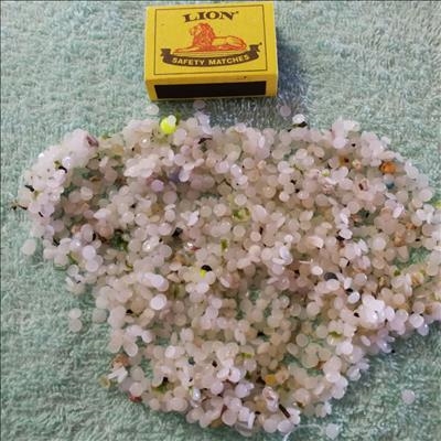 'Nurdles' op Gouritsmond