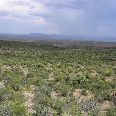 Karoo beats fracking and uranium threat