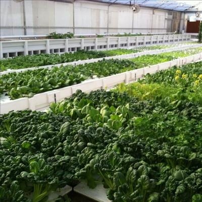 Reap returns on investments by ‘farming the markets’