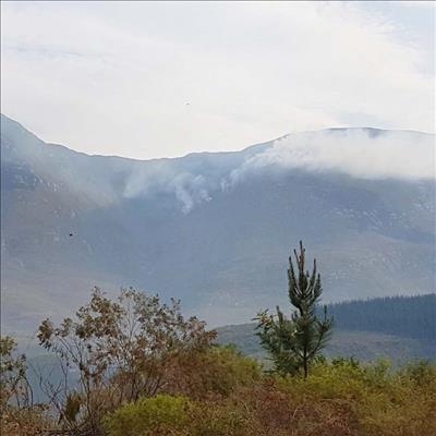 Update on fires in the Eden District