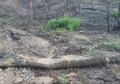 Lack of disaster funding a disaster