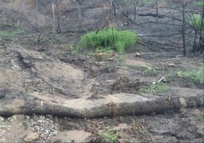 Lack of disaster funding a disaster