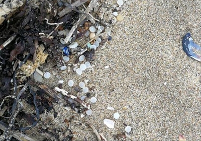 Nurdles: Stille dood op strande