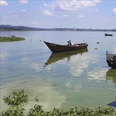 Scientists warn Lake Victoria is dying