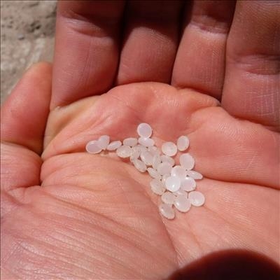 Nurdles wash-up on beaches