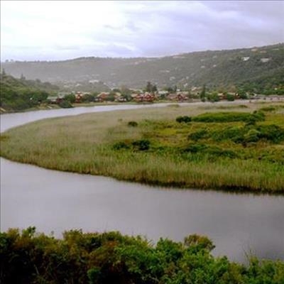 Nature activities galore 