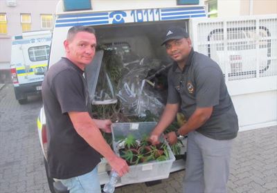 2 drug busts in 1 day