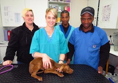 Animal lovers, time to get involved