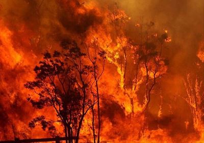 Be prepared for fire season
