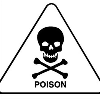 War criminal 'takes poison' in court
