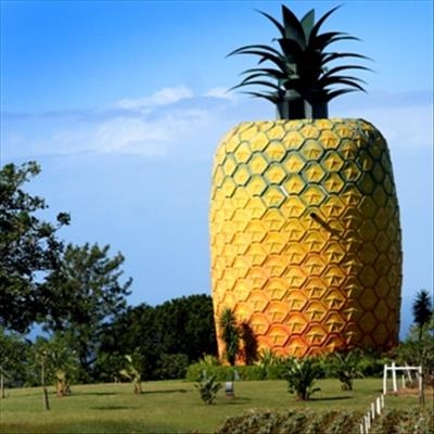 Unusual places to visit in SA