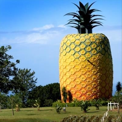 Unusual places to visit in SA