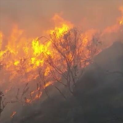 14 Fires in Eden district