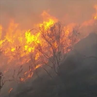14 Fires in Eden district