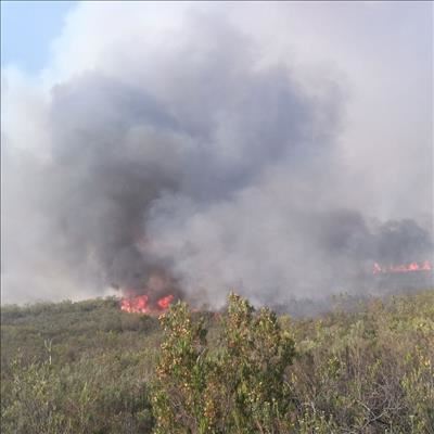 Brand tussen Oudtshoorn en Mosselbaai