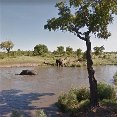 Explore SA national parks in street view