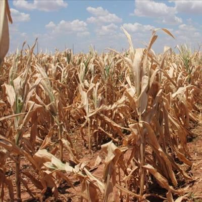 Drought is far from over 