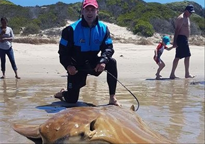 Knysna-hengelaar tops in Eden