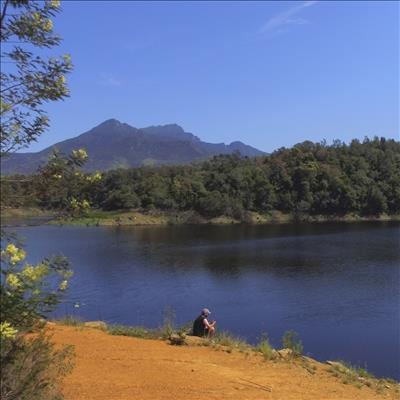 Latest update: Garden Route Dam level