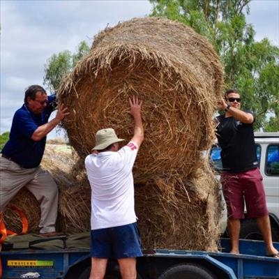 30-truck convoy delivers feed to drought-stricken farmers